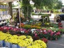 3a Festa de les 3R: Reduir, reciclar i recuperar -Imatge 3-