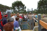 Instal·lada una estructura per a la gent gran perquè faci exercici al parc dels Pinetons -Imatge 3-