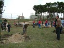 Ripollet celebra el Dia de l'Arbre amb la plantada de 30 arbres -Imatge 2-