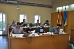 El Ple Municipal aprova l'organització i les retribucions dels electes -Imatge 3-