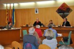 Ple ordinari del 28 de febrer de 2013<br>La sessió dóna suport al Dret a Decidir  -Imatge 2-