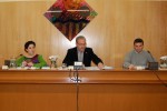 Acords del Ple Municipal de 30 de desembre de 2010 -Imatge 5-
