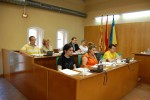 Acords del Ple Municipal, 31 de maig de 2012El Ple de Ripollet amb l'educació pública -Imatge 2-