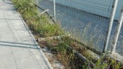 Convergència Democràtica critica la deixadesa de carrers i espais d'esbarjo a Ripollet -Imatge 2-