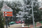 Darrera hora sobre la situació de fred i neu i vídeo de Ripollet nevat -Imatge 4-