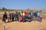 Es posa en marxa un projecte d'horta ecològica per a persones en situació de vulnerabilitat -Imatge 5-