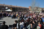 Gran resposta a la mobilitzaci de la #VagaFeminista a Ripollet -Imatge 2-