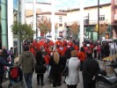 Apadir commemora el Dia de les persones amb discapacitat -Imatge 4-