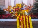 Participativa celebració de la Diada de l'Onze de Setembre -Imatge 5-