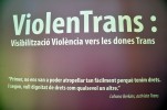 Exposici: <i>Dones diverses, violncies i resilincies en el cam de les dones Trans</i> -Imatge 3-