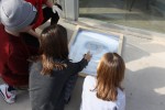 Es reparteixen els primers identificadors de la nova xarxa de punts segurs de violència masclista -Imatge 2-
