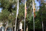 Ripollet ret homenatge a les víctimes dels atemptats de Barcelona i Cambrils -Imatge 3-