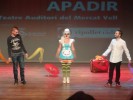 APADIR omple el Teatre Auditori de solidaritat i humor -Imatge 2-