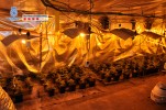 Mossos i Policia Nacional detenen a 18 persones per tràfic de drogues al Vallès -Imatge 3-