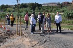Finalitzen les obres del darrer tram del carril bici -Imatge 4-