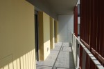 A punt de finalitzar la primer promoció de pisos d'HPO als Pinetons -Imatge 4-