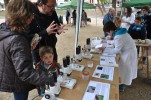 El parc Rizal acull una festa per conscienciar sobre la recollida d'excrements de gos a tot Ripollet -Imatge 3-