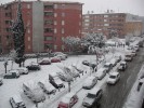 Incidències de la nevada, dilluns 8 de març -Imatge 2-