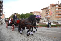 Imatge 1
