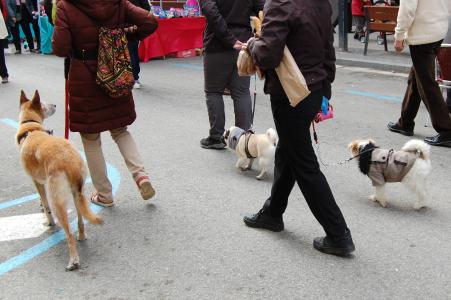 Bona acollida de la fira comercial més "animal" -Imatge 1-