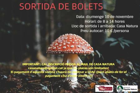 Sortida de bolets -Imatge 1-