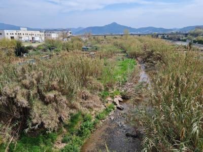 Aprovat el projecte de recuperació mediambiental de l'entorn fluvial del Riu Ripoll "entre ponts" -Imatge 1-