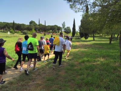 260 persones participen en la 5a Caminada sense fum -Imatge 1-