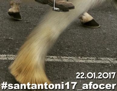 Afocer convoca el segon Concurs Fotogràfic Instagram per la Festa de Sant Antoni Abat -Imatge 1-