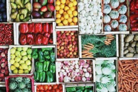 El col·lectiu EVA organitza una xerrada sobre: 'La crisi del model alimentari' -Imatge 1-