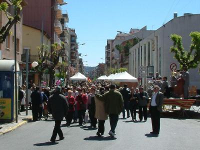 Creu Roja organitza una recollida benèfica de llibres per a Sant Jordi -Imatge 1-