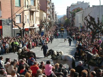 Multitudinària celebració del Tres Tombs -Imatge 1-