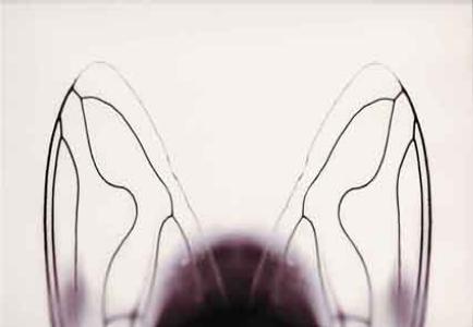 Finalitza el termini de presentació d´obres del XXVII Concurs Vila de Ripollet -Imatge 1-