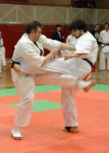 Campionat de Catalunya de karate -Imatge 1-