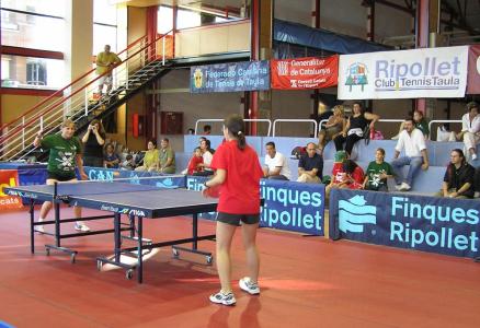 L´IES Lluís Companys participarà en un programa d´especial atenció a l´esport -Imatge 1-