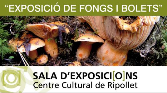 Ripollet Natura porta el món de bolet al Centre Cultural  -Imatge 1-