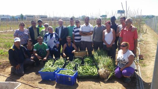 Els participants en el projecte d'horta social de Can Xec donen els excedents a Càritas -Imatge 1-