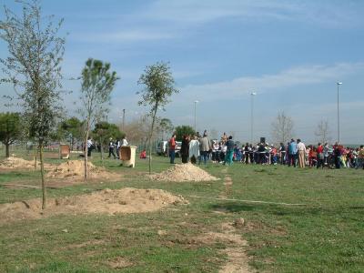 Els escolars celebren el Dia de l´Arbre amb una plantada -Imatge 1-