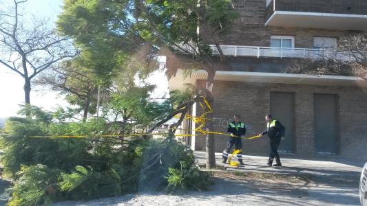 Incidències a Ripollet per la ventada del dia 9 de desembre -Imatge 1-