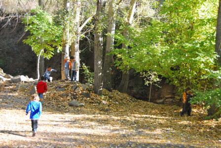 La Careta Teatre té preparat un casal d'estiu a la natura per a infants i joves -Imatge 1-