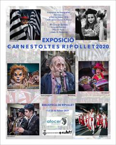 Exposici sobre el Carnestoltes 2020 -Imatge 1-