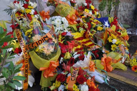 Una vintena d'entitats participen a la commemoració de la Diada Nacional de Catalunya 2016 -Imatge 1-