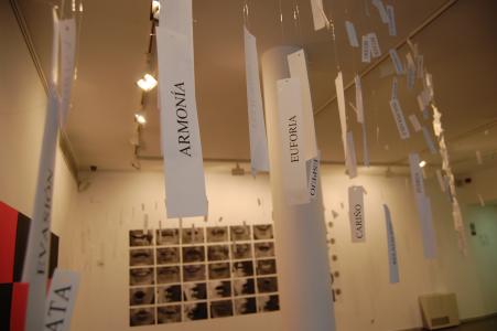 Poesia i música, temes centrals de les noves exposicions del Centre Cultural -Imatge 1-