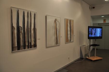 Noves exposicions amb to local -Imatge 1-