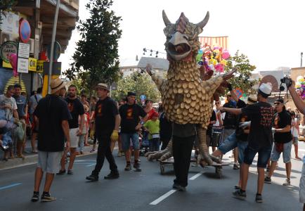 Les bèsties participen en la festa -Imatge 1-