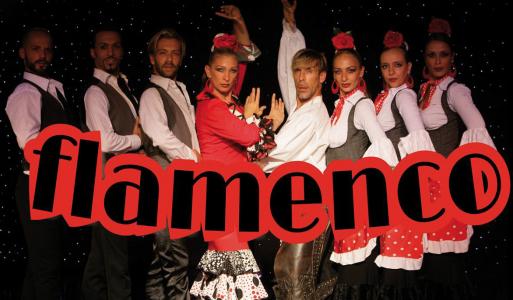 Festival flamenc a la plaça del Molí #FMRipollet -Imatge 1-