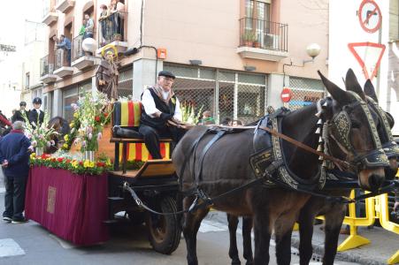 La festa de Sant Antoni Abat arriba a la 123a edició en plena forma -Imatge 1-