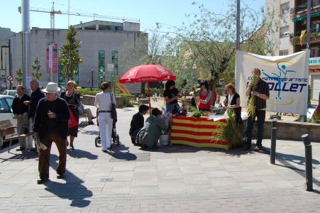 Sant Jordi a Ripollet -Imatge 1-