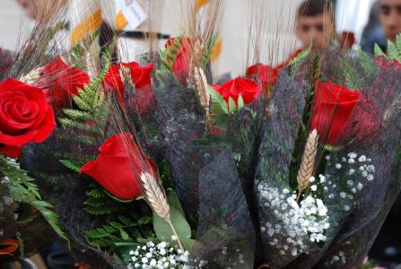 Sant Jordi a Ripollet<br>La Diada tornarà a lluir amb parades i activitats culturals -Imatge 1-