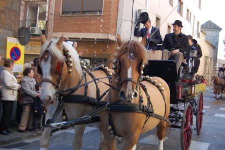Arriba la 120 edició de la festa del Sant Antoni Abat -Imatge 1-