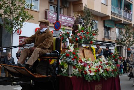 Nou èxit de participació de la festa de Sant Antoni Abat, que aplega 200 cavalls -Imatge 1-